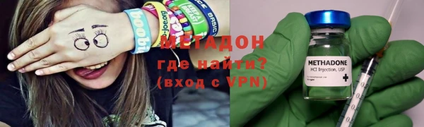 прущие грибы Елизово