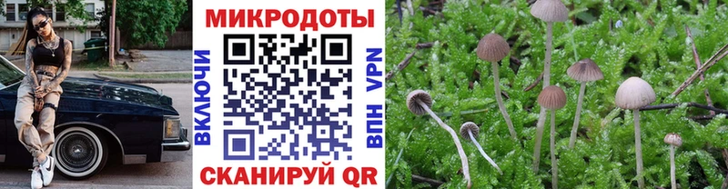 Галлюциногенные грибы Cubensis  где купить наркоту  ссылка на мегу ссылка  Мамадыш 